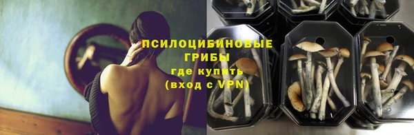 гидра Армянск