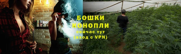 mdpv Арсеньев