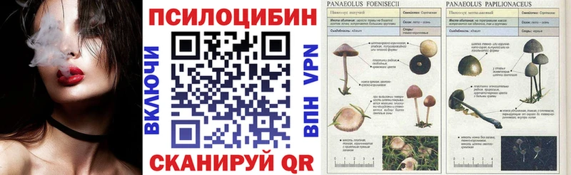 Галлюциногенные грибы Magic Shrooms  Купить где  Темников 
